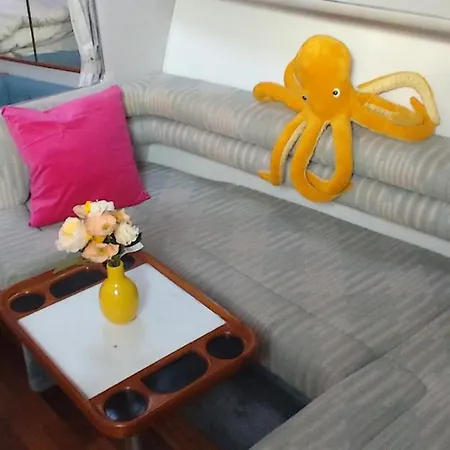 Marina Yatch *